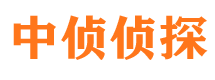 道孚市侦探公司